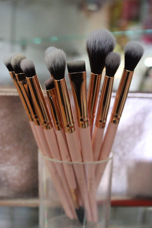 Bonita Beauty - 10 pc Brush Set